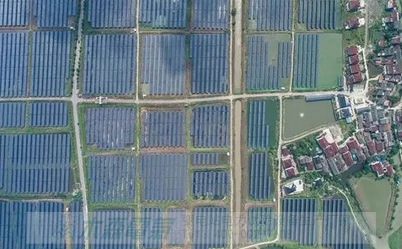 渔光互补|农光互补等中国可再生能源电力布局